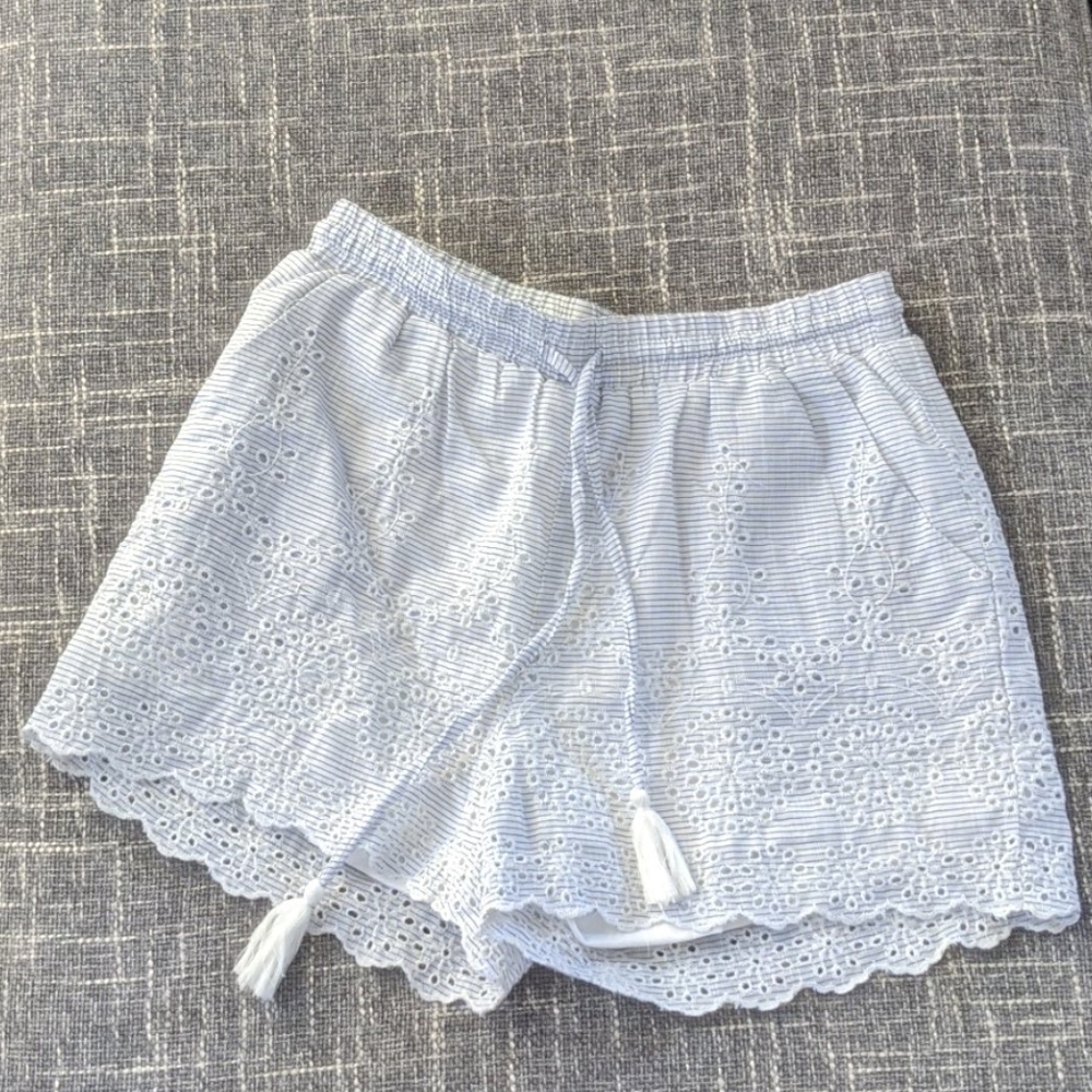 Blue and White Striped and Embroidered Shorts